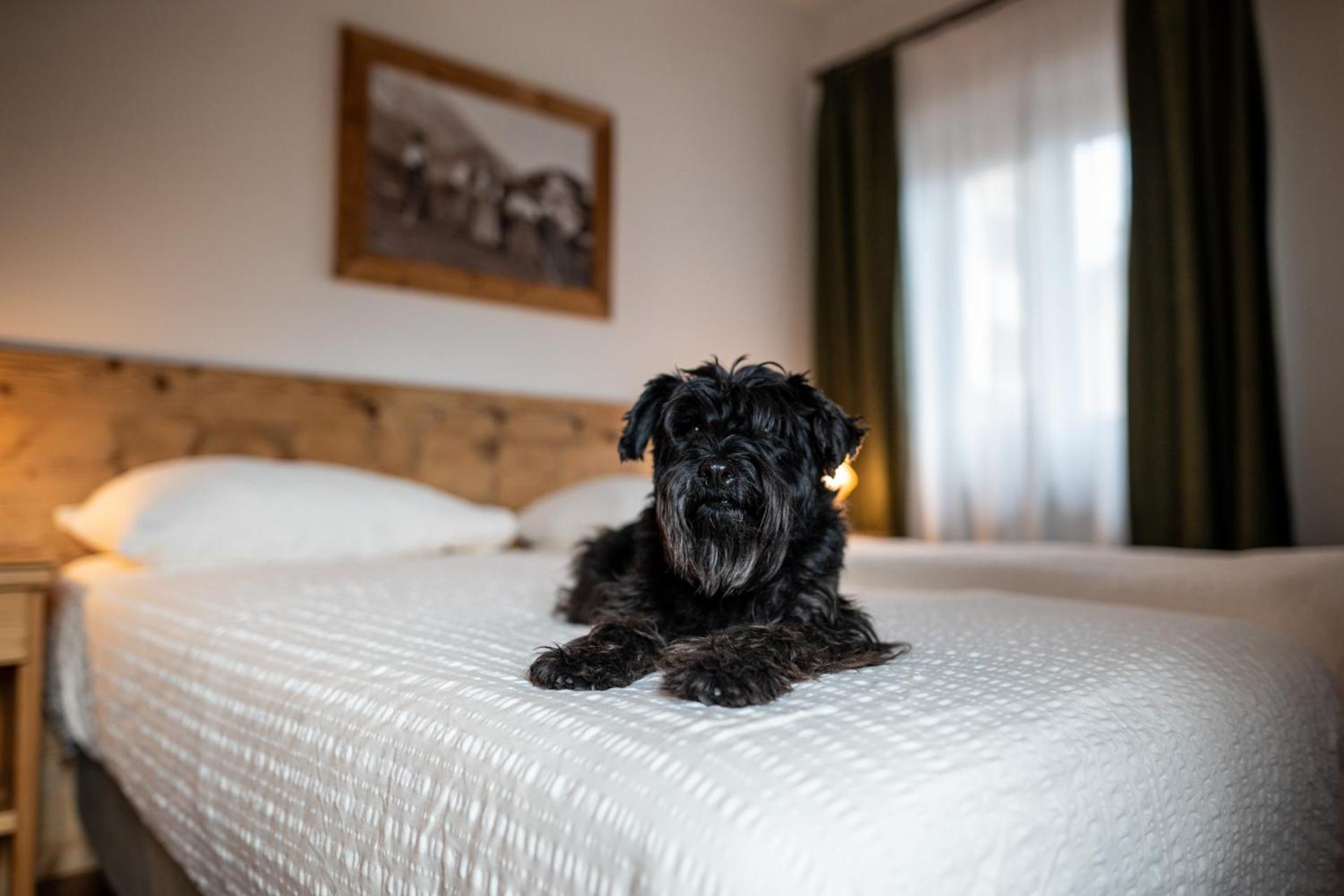 Hotel Panda Cortina- Ricarica Auto Elettriche Cortina dʼAmpezzo Exteriér fotografie